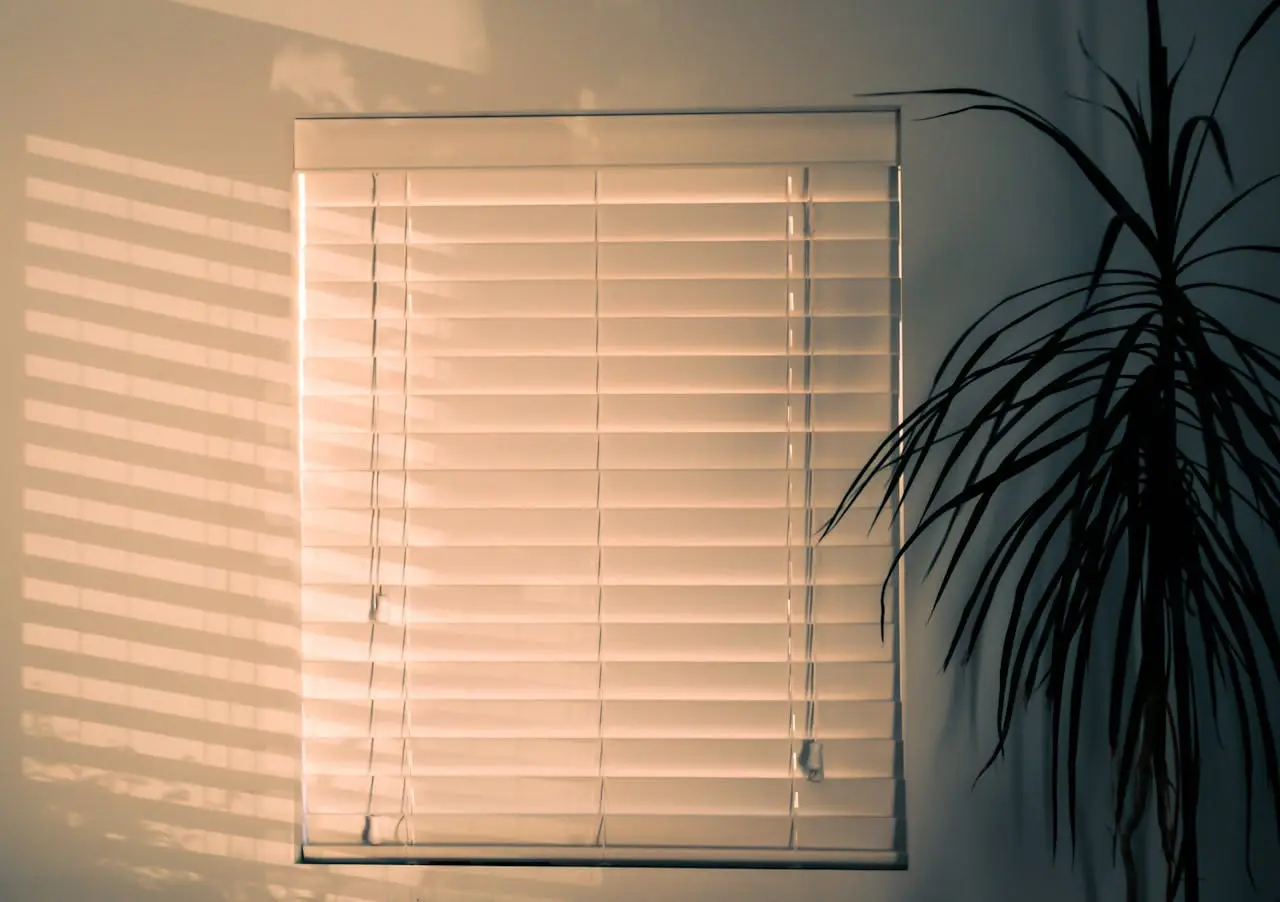 photo of window blinds near plant 851238.jpeg