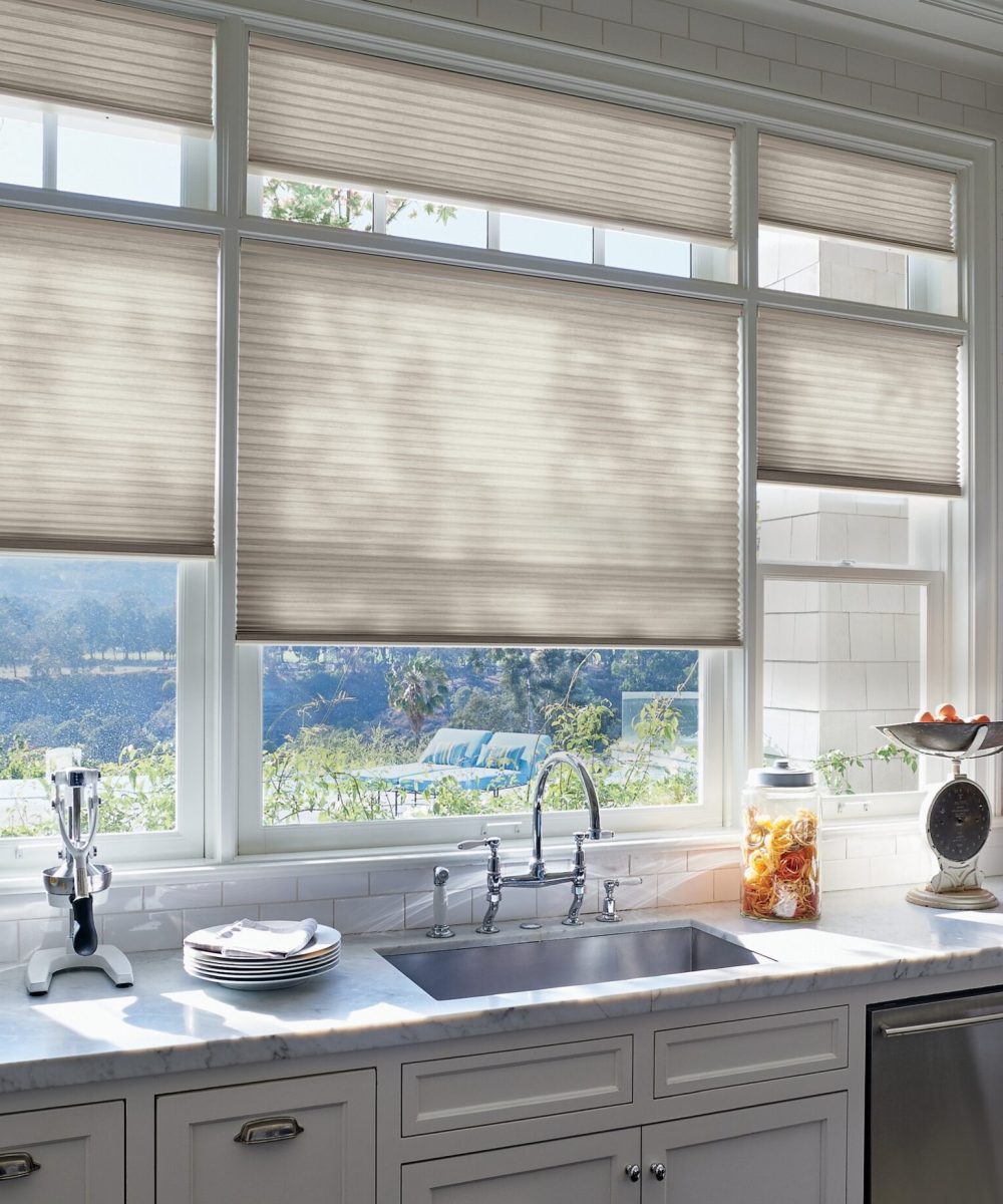 2018 DU PV Alexa KitchenDetail 2018 DU PV Alexa KitchenDetail